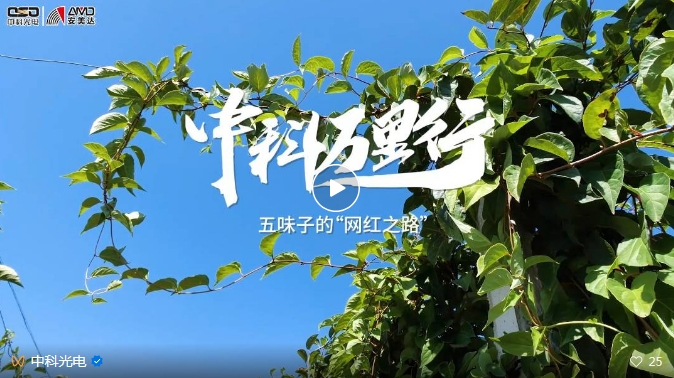 http://m.szcmytea.com/Upload/ueditor/1743473521157045.png