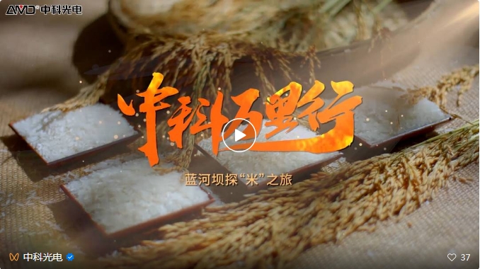 http://m.szcmytea.com/Upload/ueditor/1743473561850796.png