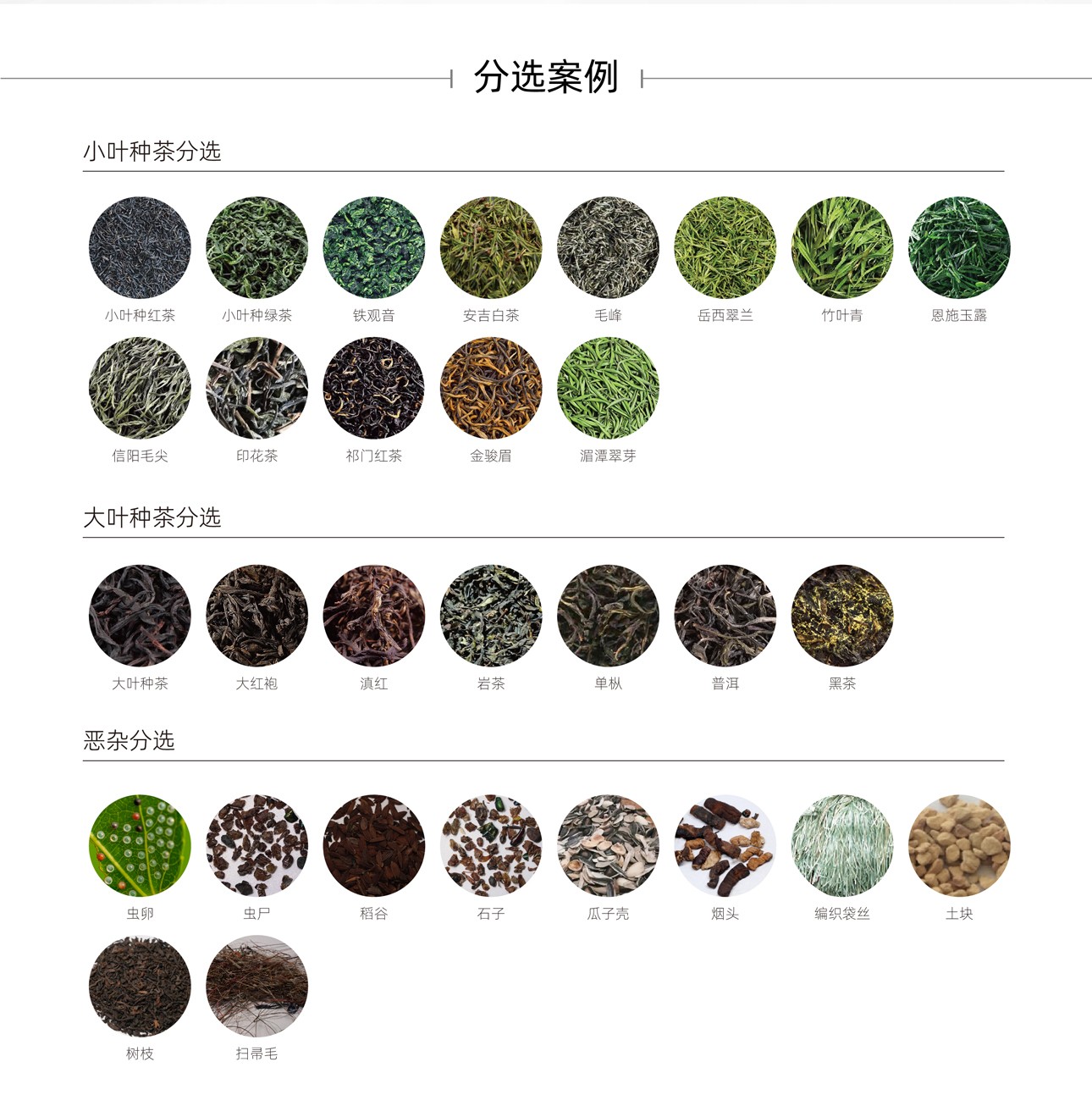http://m.szcmytea.com/Upload/ueditor/1743476196283921.jpg