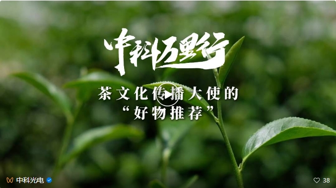 http://m.szcmytea.com/Upload/ueditor/1743476412900176.png