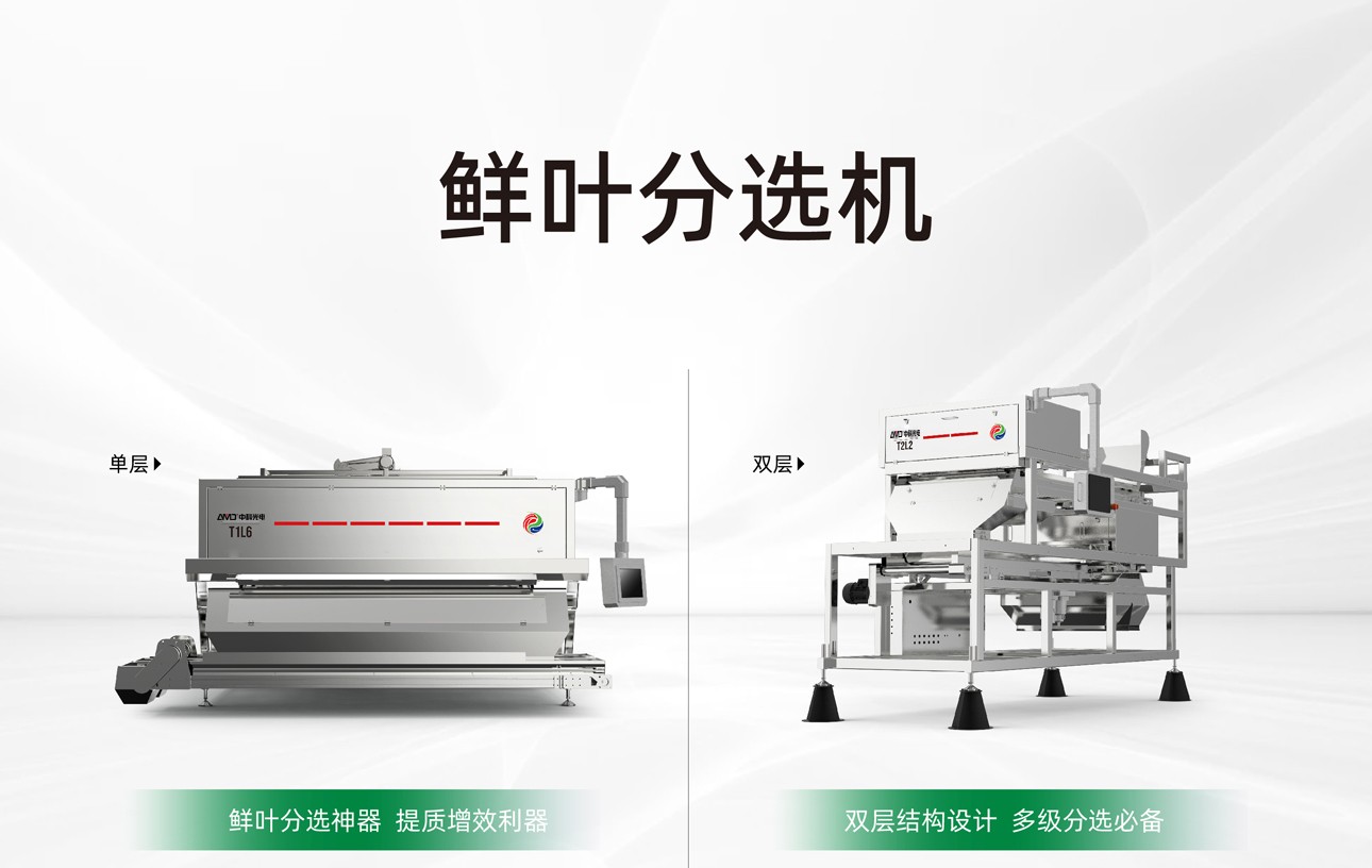 http://m.szcmytea.com/Upload/ueditor/1747984764254801.jpg